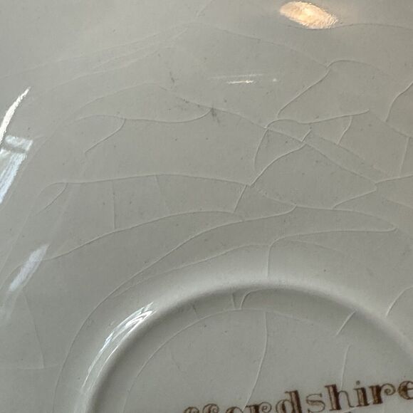 JOHNSON BROTHERS 5 Saucer Plates Staffordshire Bouquet Brown Multicolor VTG - Picture 4 of 10